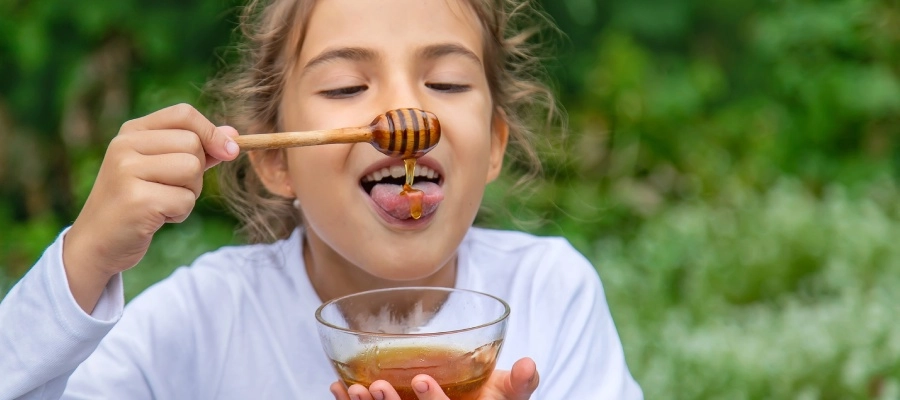 Imagem do post Mel para tosse infantil: conheça as propriedades e cuidados ao usar